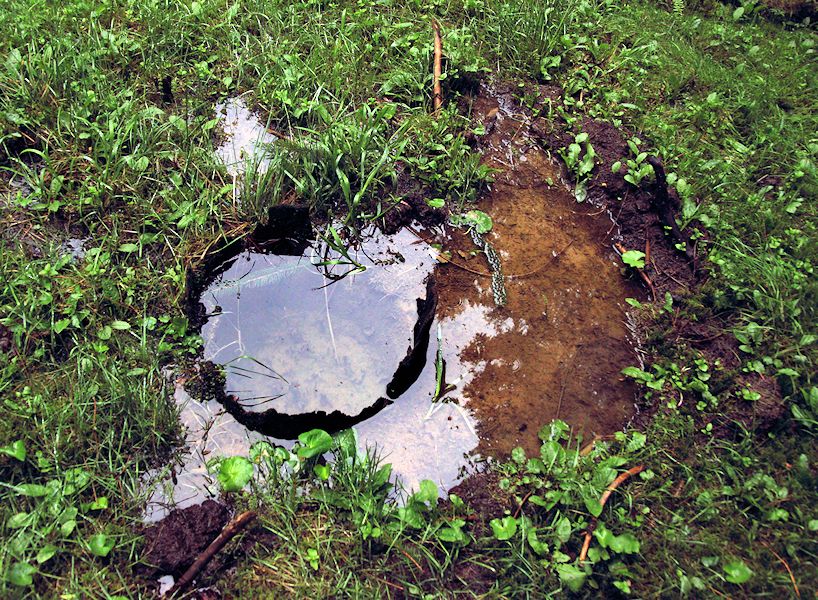 studánka Pařezový pramen (8563)