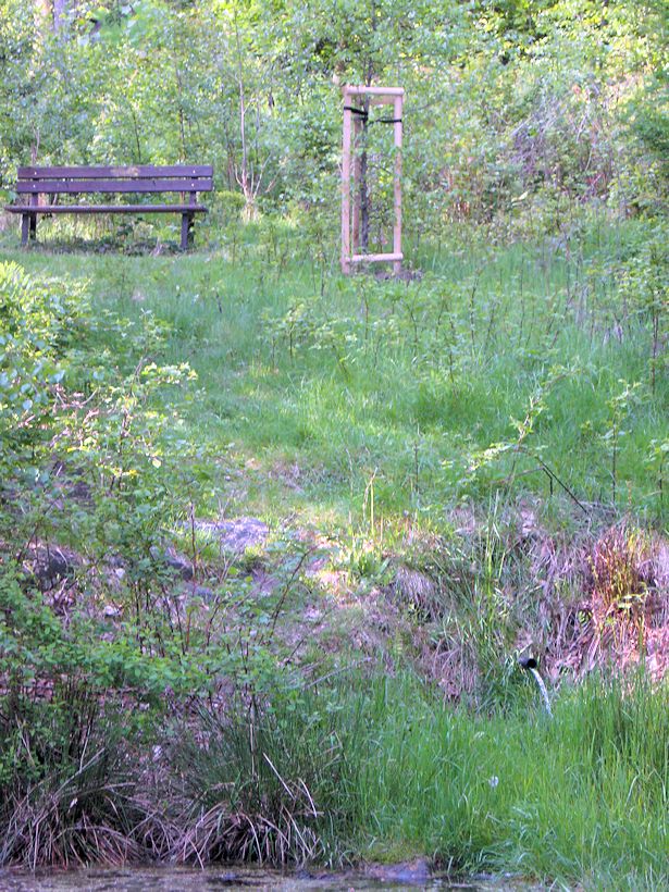 pramen Kokonínský park (8566)