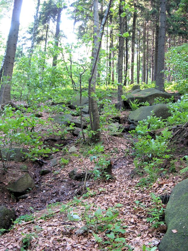prameniště Za školkou (8567)
