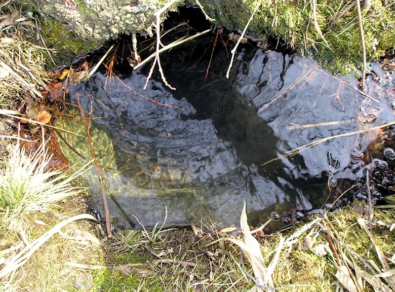studánka Volevčická (8571)