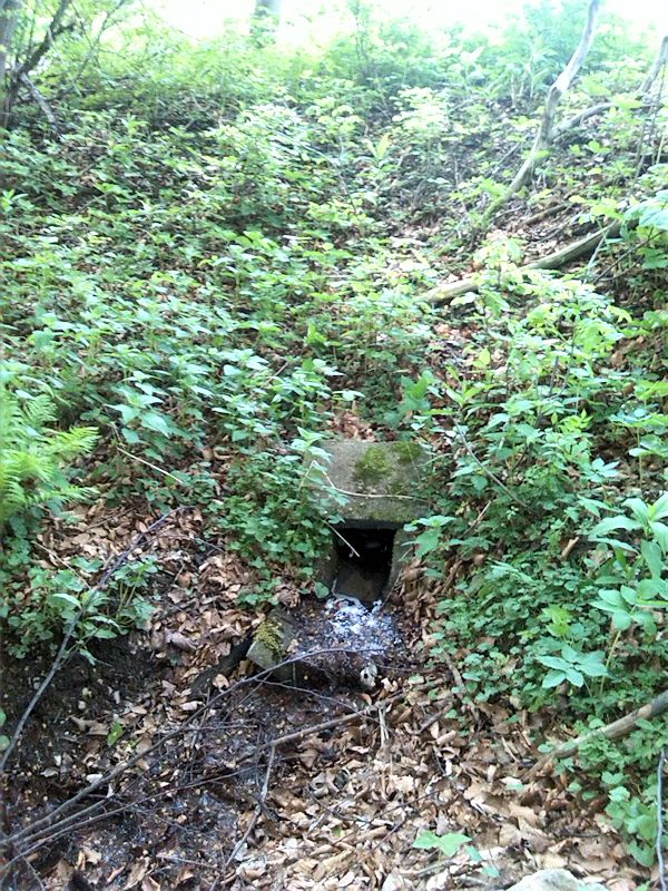 studánka Pod Chudobou (8575)