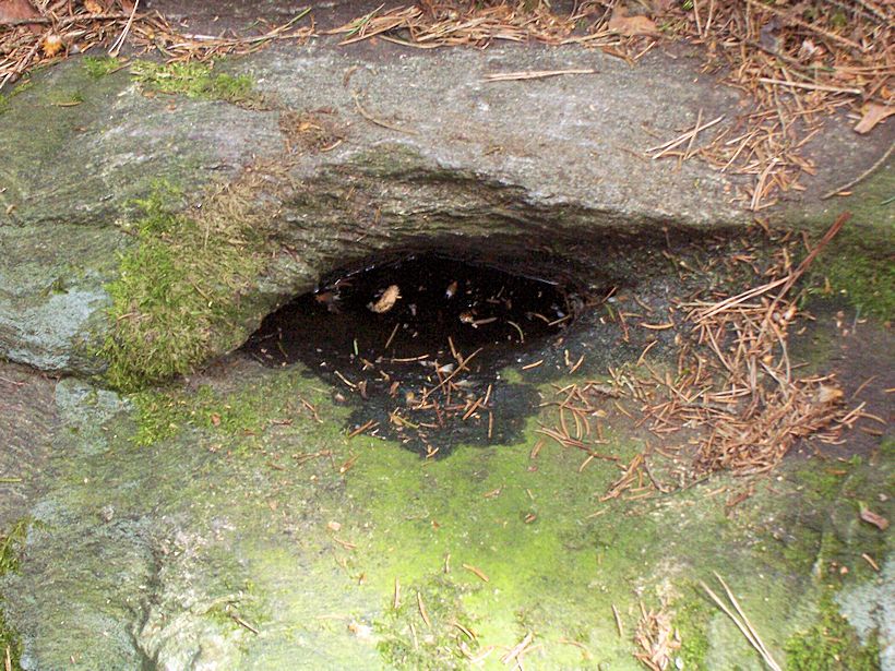 studánka Panny Marie Klatovské (8588)