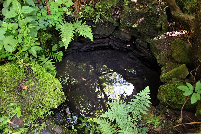 Hladová studánka (8607)