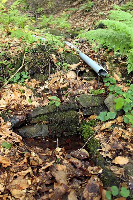 prameniště V Zábařiní (8608)