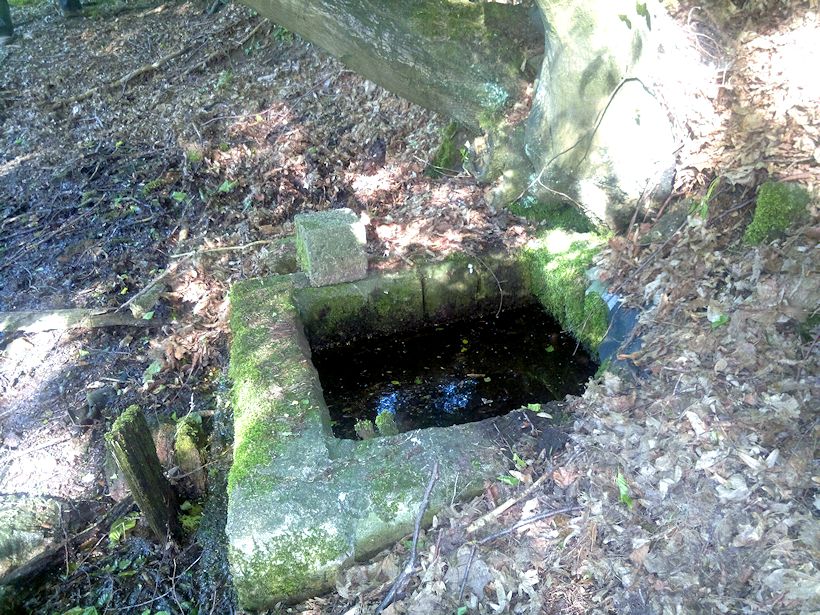 studánka bez jména (8621)