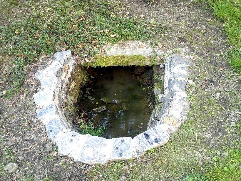 studánka bez jména (8623)