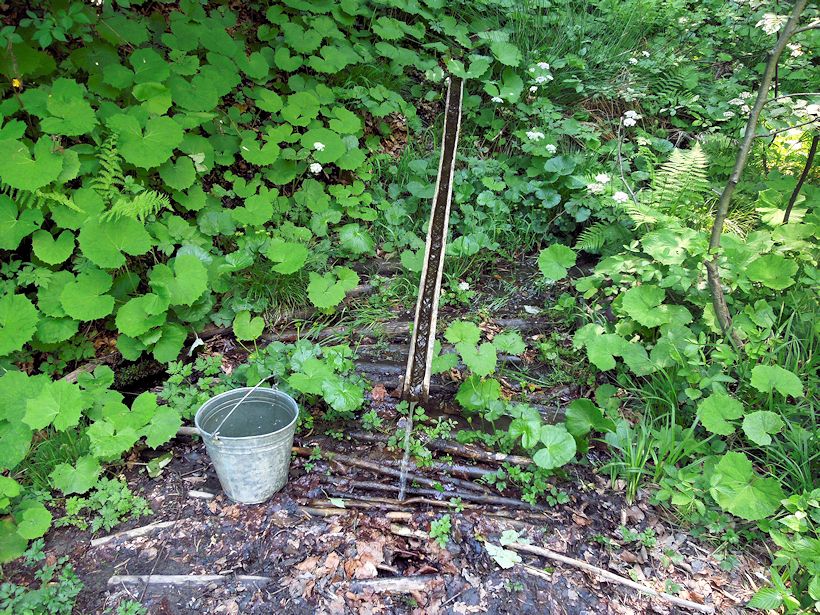 studánka Na Ostrém vrchu (8624)