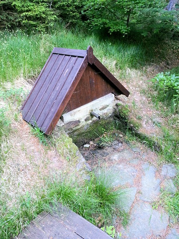 studánka bez jména (8636)