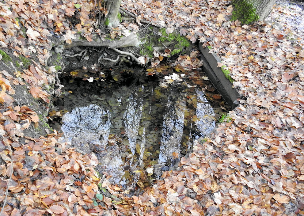 pramen Tajemná studánka (8644)
