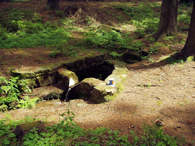 studánka Pod Kudlou (8678)