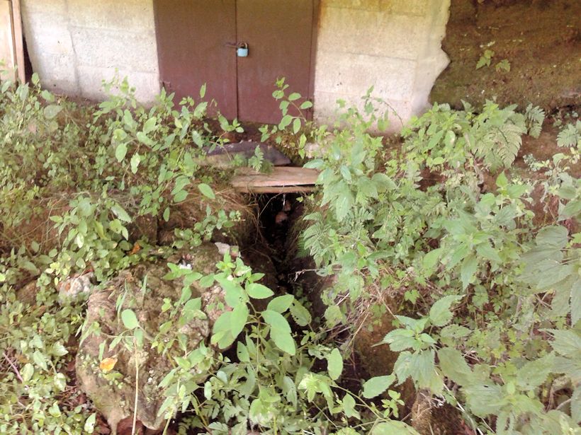 studánka bez jména (8680)