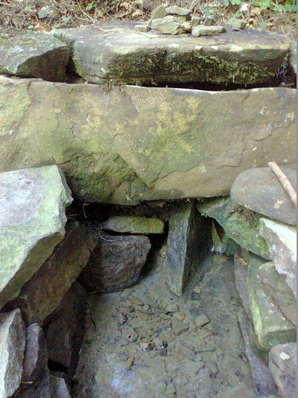 studánka Troják (8694)