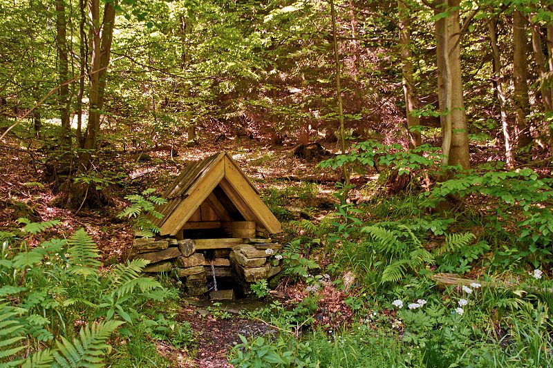 studánka bez jména (8696)