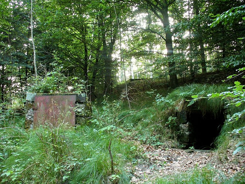 studánka U myslivecké chaty (8700)