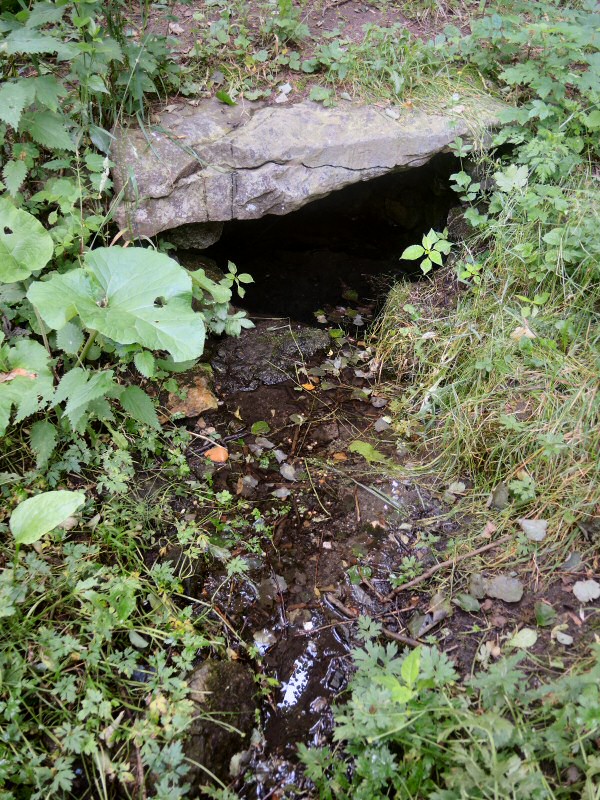 studánka Nad Nemocnicí (8717)