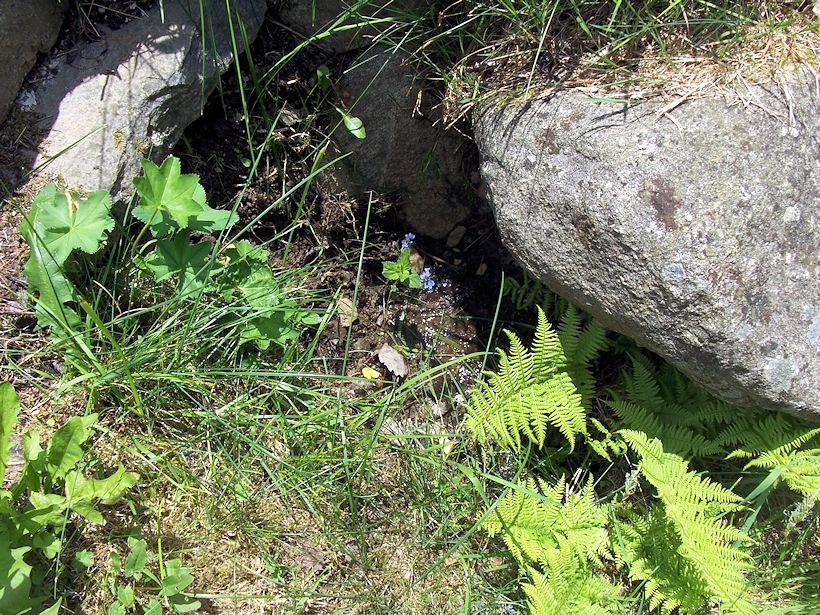 studánka Na vršku (8723)