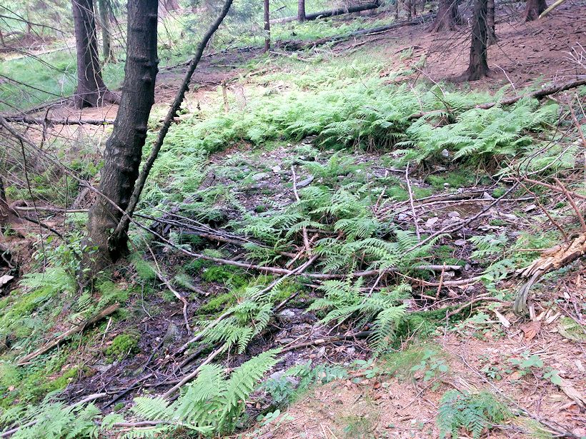 studánka bez jména (8737)