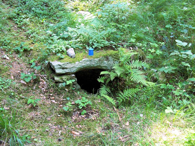 studánka Pod třešní (8738)