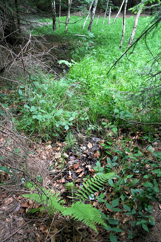 studánka Pod Vršky (8751)