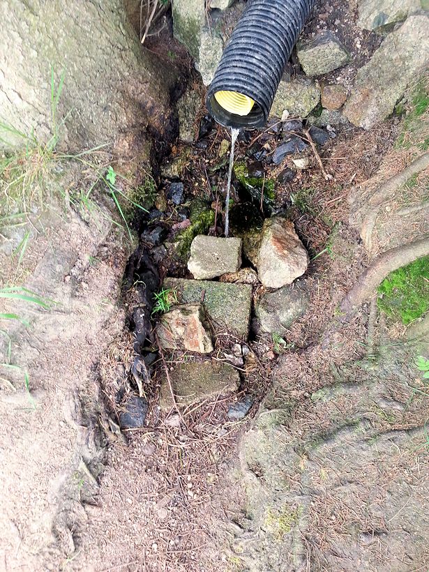 studánka Dupanďačka (8753)