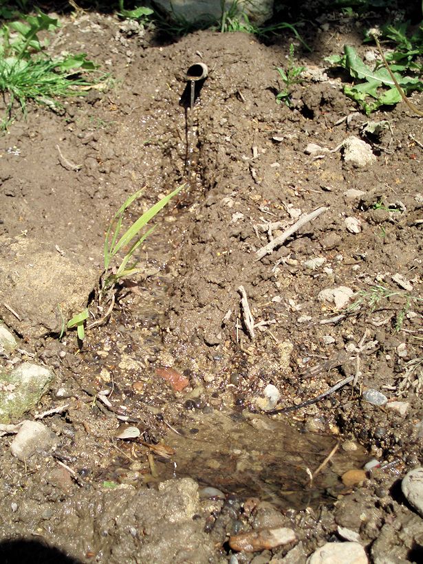studánka Martinův pramen (8766)