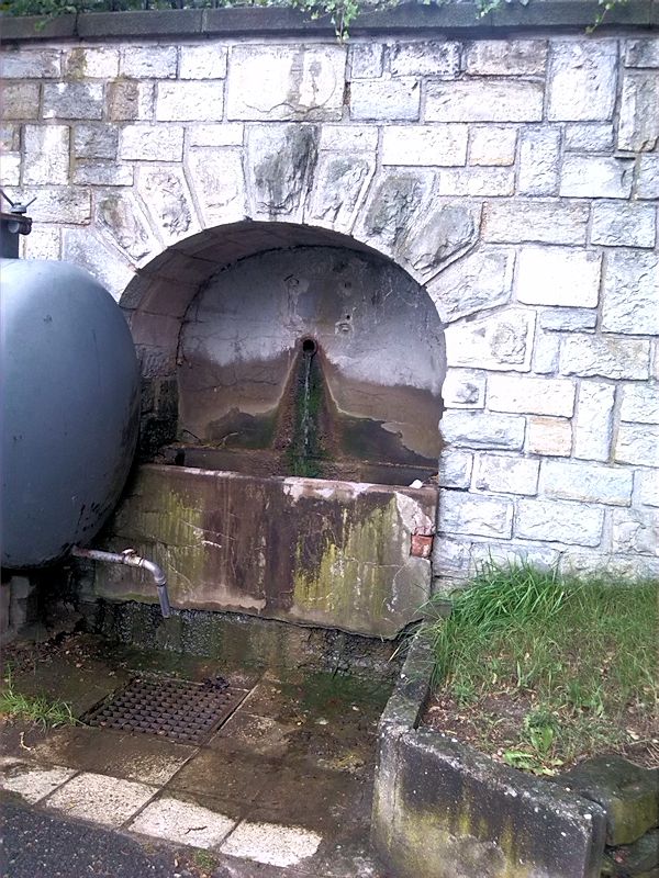 studánka Na Skalách (8775)