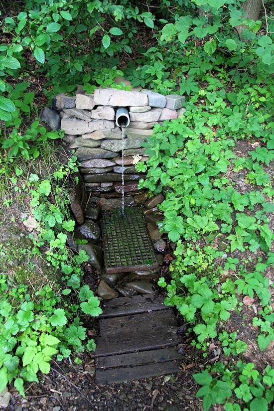 studánka Ve Dříni 2 (8793)