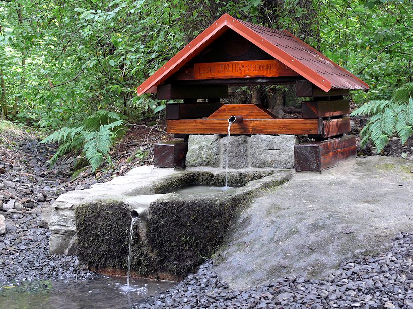 Lesní Josefova studánka (8800)