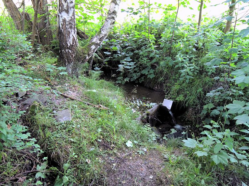 pramen bez jména (8827)