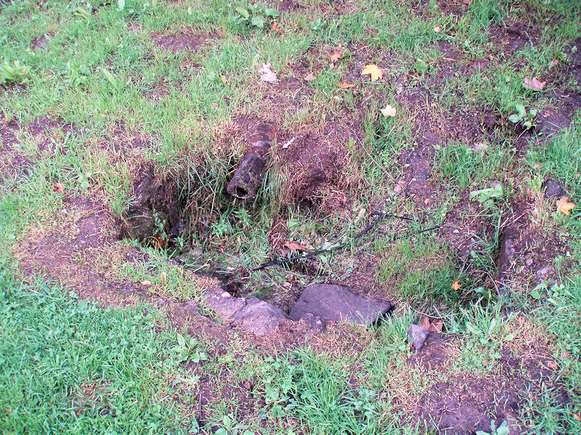studánka U muzea (8833)