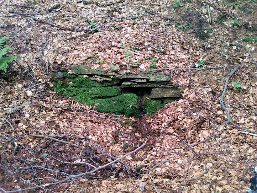 studánka Za křížem (8845)