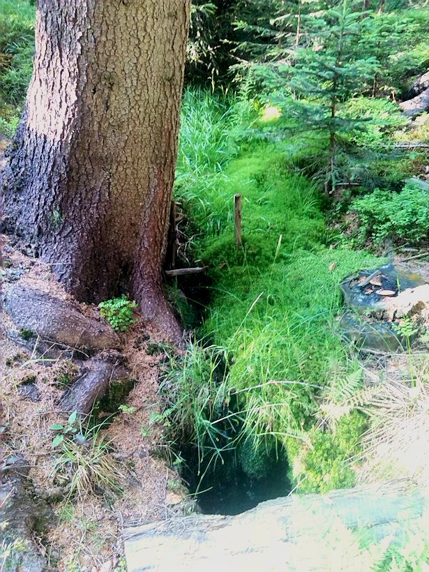 studánka U Františkovy chaty I (8847)