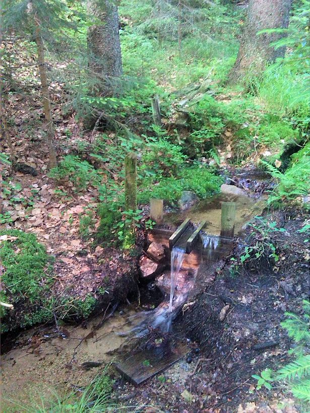 studánka U Františkovy chaty II (8848)