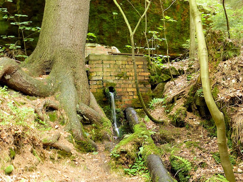 studánka U Dolnožlebského vodopádu (8850)