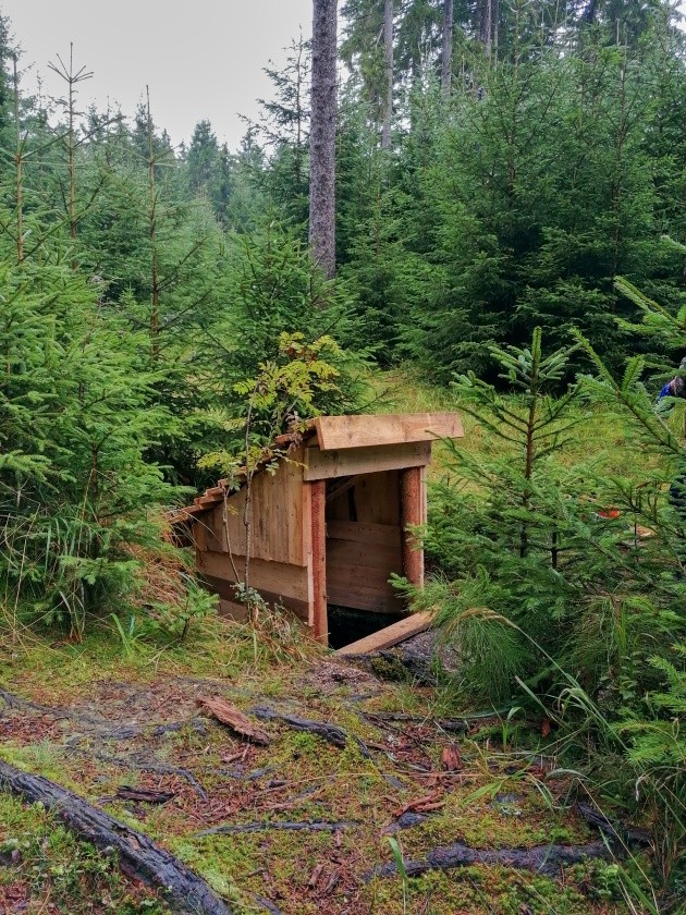 studánka bez jména (8855)