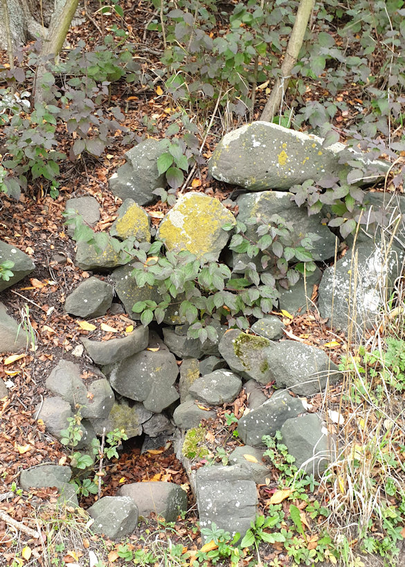Borískova studánka (8858)