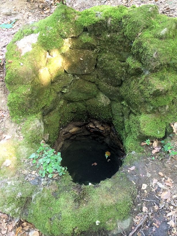 studánka Metúdka (8862)