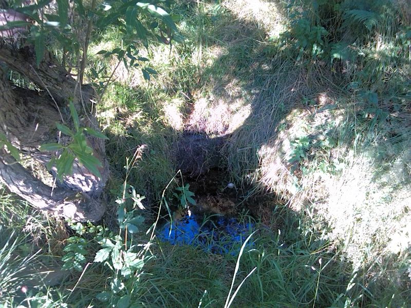 studánka Nad zatáčkou (8868)