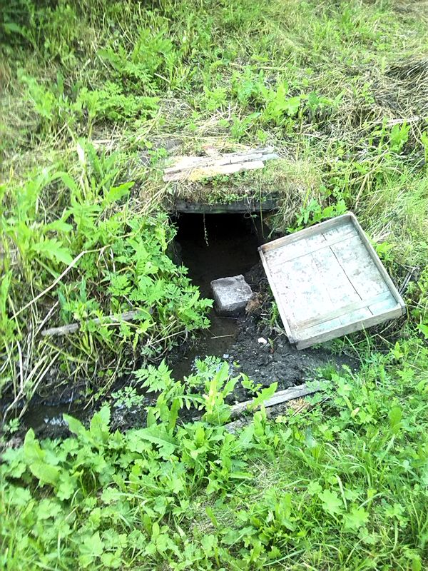 studánka Herbortická dolní (8869)