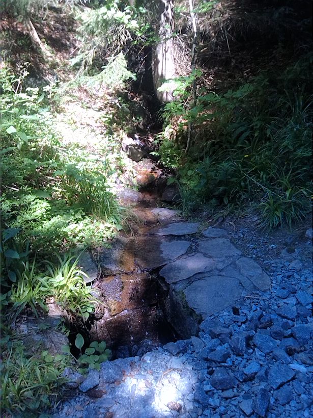 studánka Na žluté II (8875)