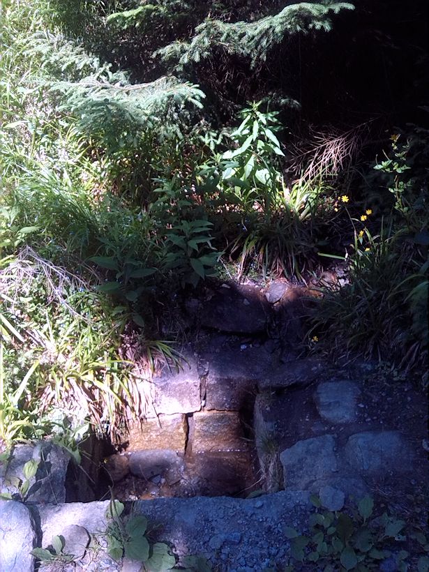 studánka Na žluté I (8876)