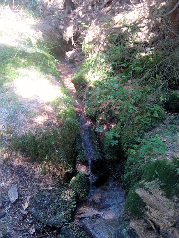 studánka Pod Zbojnickou chatou (8878)