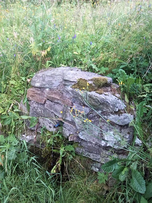 studánka U kostela (8879)