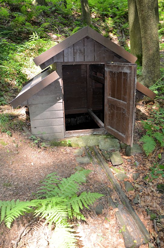 studánka Pětidomí (8888)