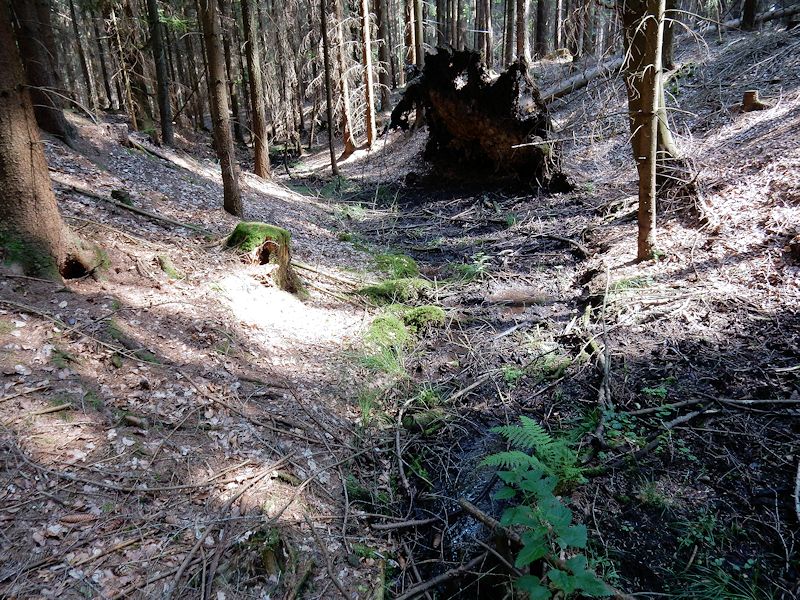 pramen U Josefka (8904)