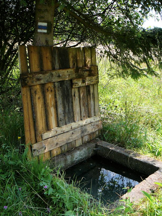 studánka Pod Hrachovičným (8906)