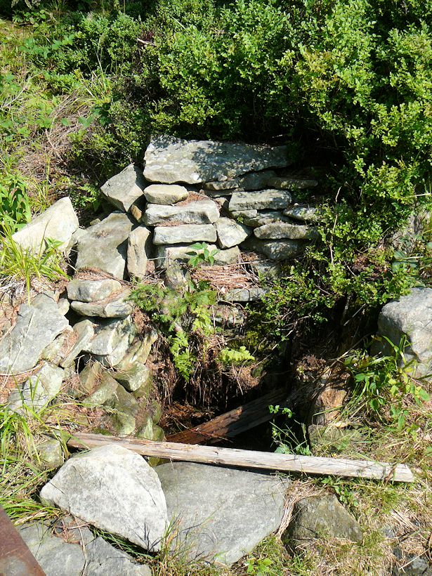 studánka U Kříže (8907)