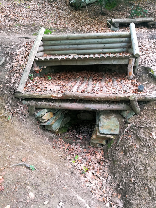 studánka Na Hradech (8910)