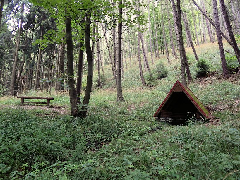 studánka Pod Sedlem 2 (8914)