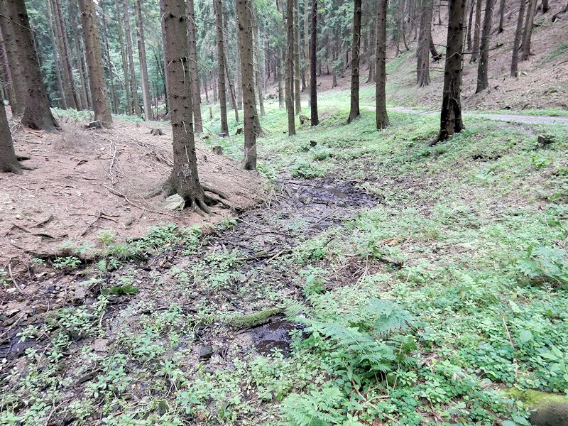prameniště Stříbrný potok (8924)